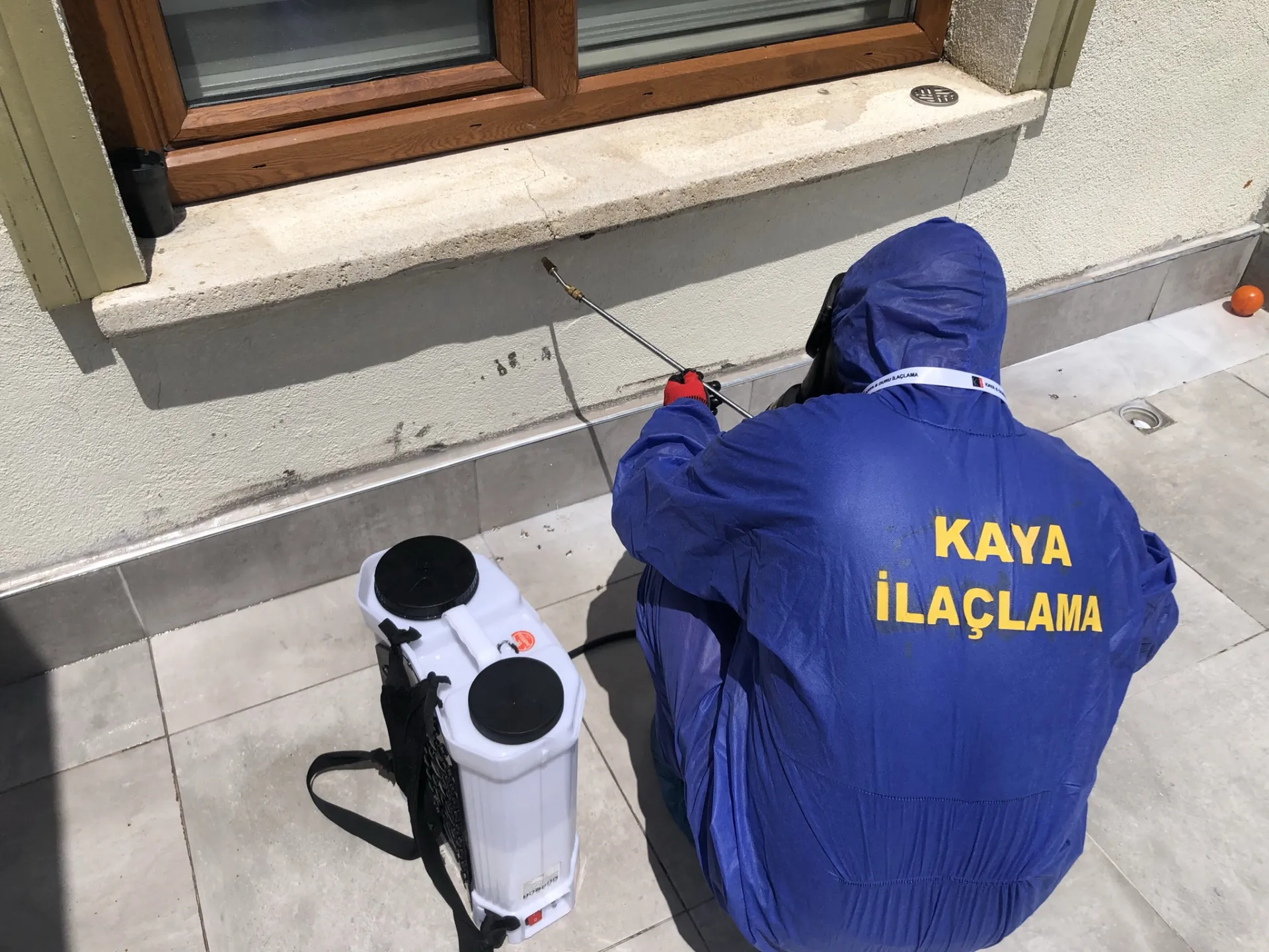 Pire İlaçlama Emek